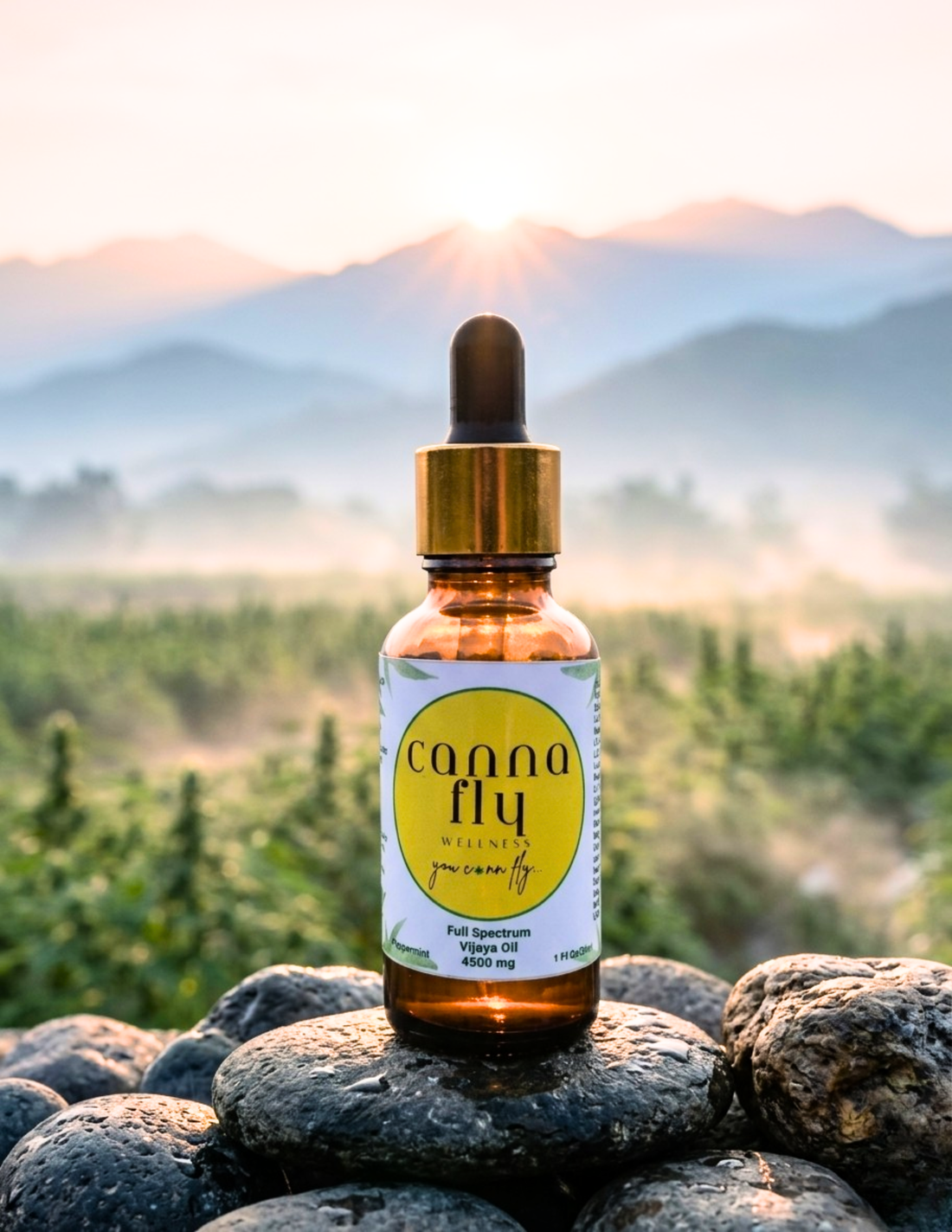 CBD for Anxiety and Stress: Can Vijaya Help You Feel Calmer?