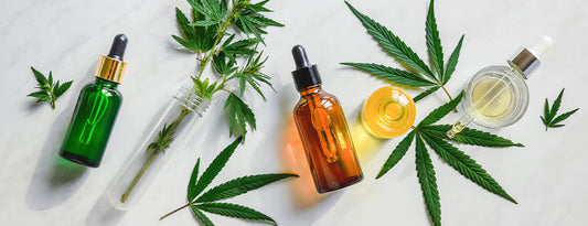 Understanding Vijaya Oil: Traditional Ayurvedic CBD for Pain Relief